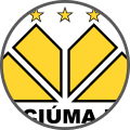 Criciúma - Team Logo