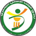National Bank of Egypt - Team Logo