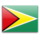 Guyana - Team Logo